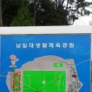 남일대축구장 이미지