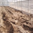 일도목장 이미지