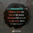 영암 금정 대봉감 축제 이미지