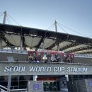 생활축구경기장 | 상암 월드컵경기장에서 직관한 FC서울 축구 일정 및 예매 정보 | 여름경기 팁