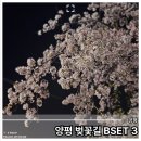 양평벚꽃하우스 | 양평 벚꽃길 명소 BEST 3