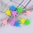 다미세탁 이미지