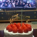 사진 한바구니 쏟아내는 25년 상반기 모음(~4월까지)