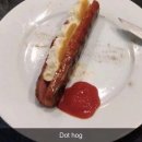 도그PC방 이미지