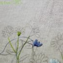 롱앤쇼트