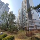 하나은행 목동지점 앞 이미지