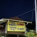 바다한우암소 이미지