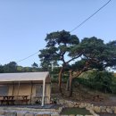 포레스트 펜션 이미지