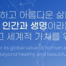 나인바이오팜 이미지