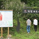 이순신장군 백의종군로 이미지