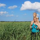 분당행정사 사무소 이미지