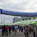 &lt;부산여행&gt; 붕장어의 본고장 기장 연화리에서 붕장어 축제를 만나다 이미지