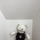 대발 | 🧸 라미토리 아기애착인형 후기｜대발이동화 217권 내장 수면 애착인형 사용기