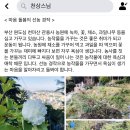 천마산농원 네이버블로그