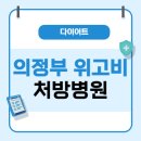 경기약국 | 의정부 위고비 처방 병원 및 약국 리스트 / 가격