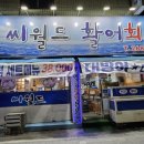 씨월드활어회 네이버블로그