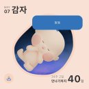 [임신기록] 33~35주차 일상 / 베이비페어, 산후도우미 신청, 베이비하우스, 마지막 출근