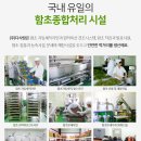 다사랑코리아