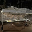 원통 복지타운 | 본업할 때 가장 행복한 나:2월 일상