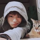 이쁜이모사 Daum카페