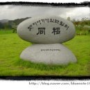 동복면 농협 앞 이미지