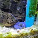 막곡천 | 명품 시계수리, 종로 3가역 시계동네