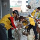 비래동 주민센터 이미지