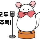 딜라잇비 이미지
