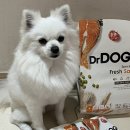 웃는 강아지 | 강아지 오븐베이크사료 추천, 알러지사료 찾다가 정착한 닥터독 피부모질 사료 후기