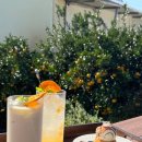 양희농장 | [제주] 제주가볼만한곳 서귀포 남원 카페 귤따기 체험 가능 수제 푸딩 전문 카페 내노키