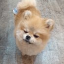 로그인미 네이버블로그
