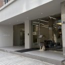 (가로수길 미용실) 뉴이드신사 강헤이 디자이너 뿌리염색 후기