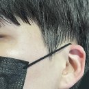 팀레슬라이킥