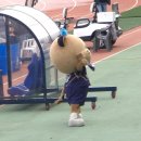 2024 K리그 승강 플레이오프 1차전 서울이랜드FC vs 전북현대 | 남의 집 플옵 다녀온 후기!