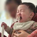 햄도 뽁고 사랑도 뽁는 2월