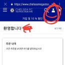 첼시 메가스토어(구매방법) 이미지