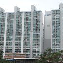 탄벌동-19 이미지