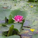 선원면-8 이미지