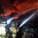 횡성양계 이미지