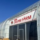 재님농장 | [파주] 파주 딸기 드림팜 딸기농장 아기랑 딸기 따기 체험 방문 후기