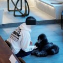 펫매니저 이미지