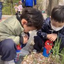 [4월 1주] 신기한 이야기꾼 수업/안양천 벚꽃 산책/스페셜데이 화분모종과 컵케이크 만들기🥰 이미지