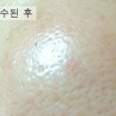 더플로라 이미지