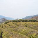 모래밭펜션 티스토리