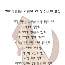 여의도(汝矣島) 구(狗)와 우리 집 견(犬)의 공통점 이미지