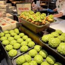 (주)세라젬 롯데백화점대구점 | [빵집] 성심당 롯데백화점 대전점, 평일 말차시루 솔닷.. 롯백 한정판매 티그레, 파콘파콘 내돈내산 후기