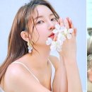 무지개다리 이미지