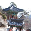 최여사