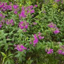 호황농장 이미지