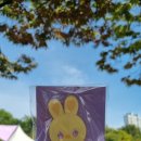 2023 아이유 팬콘서트 I+UNIVERSE 첫콘 토요일 후기